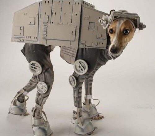 a dog wearing a Star Wars costume