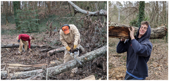 chain saw and log carrying