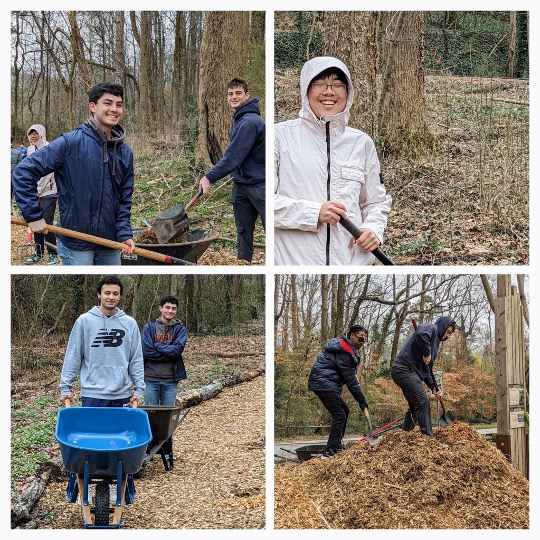 volunteers with shovels and wheelbarrow