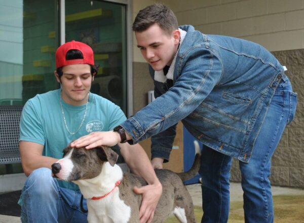 KA brothers petting dog