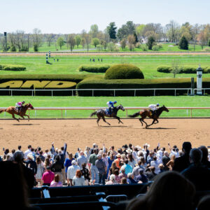 Horses racing